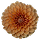 Flower Decoration